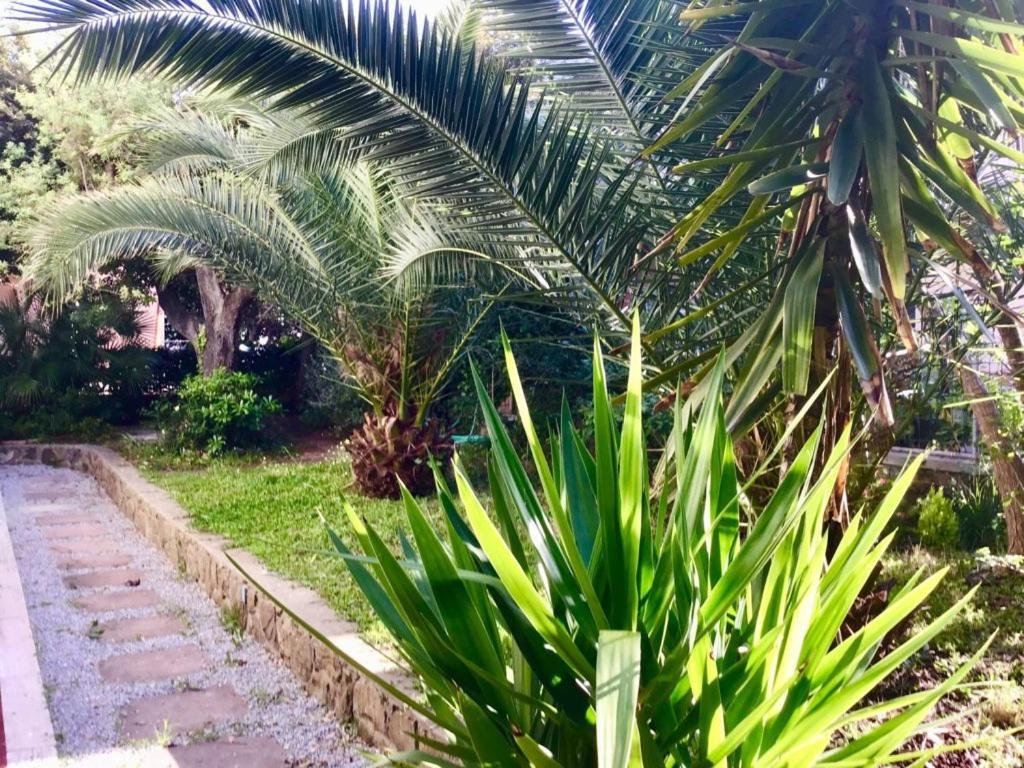La Coccinella Residence San Vincenzo Buitenkant foto